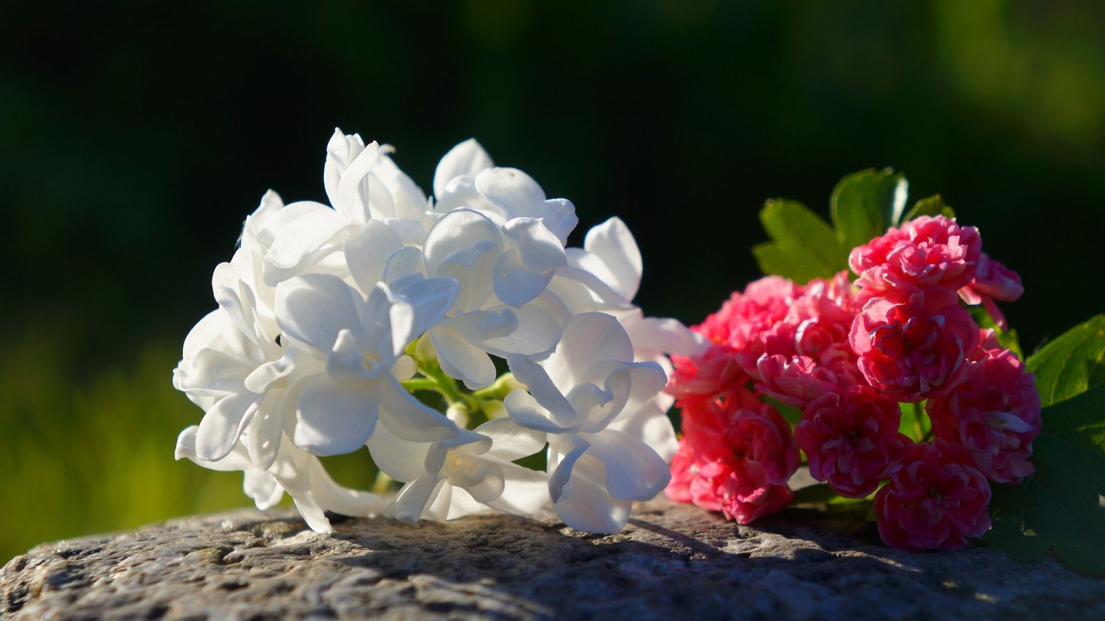 artificial flowers in sunny garden