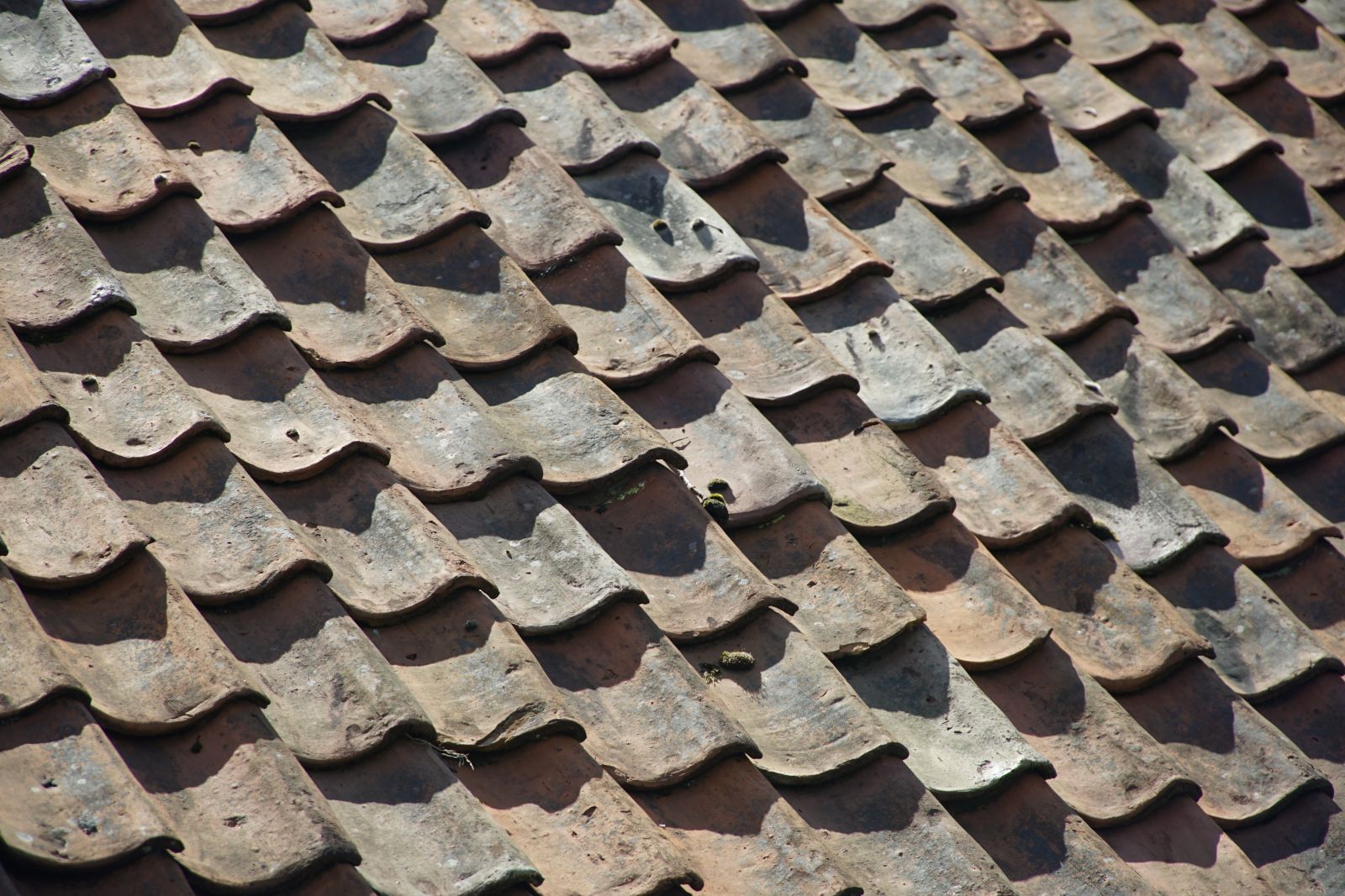 Dakpannen