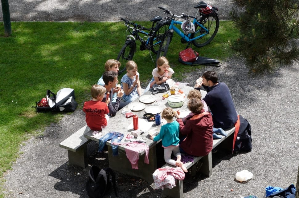 familie aan het picknicken