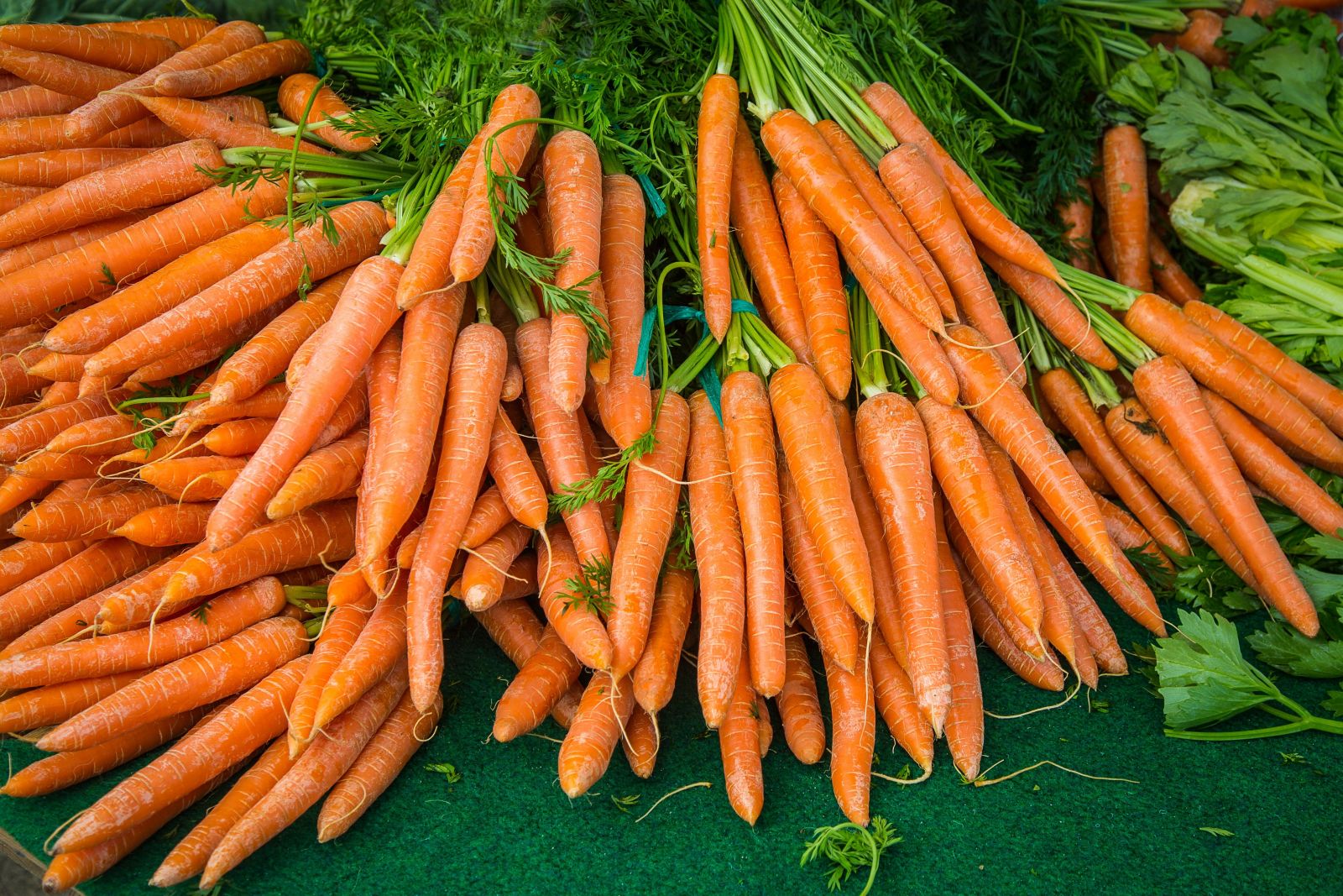 growing carrots in your veggie garden