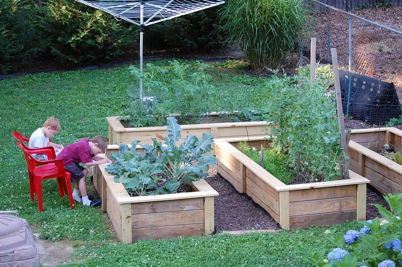 Houten plantenbakken moestuin