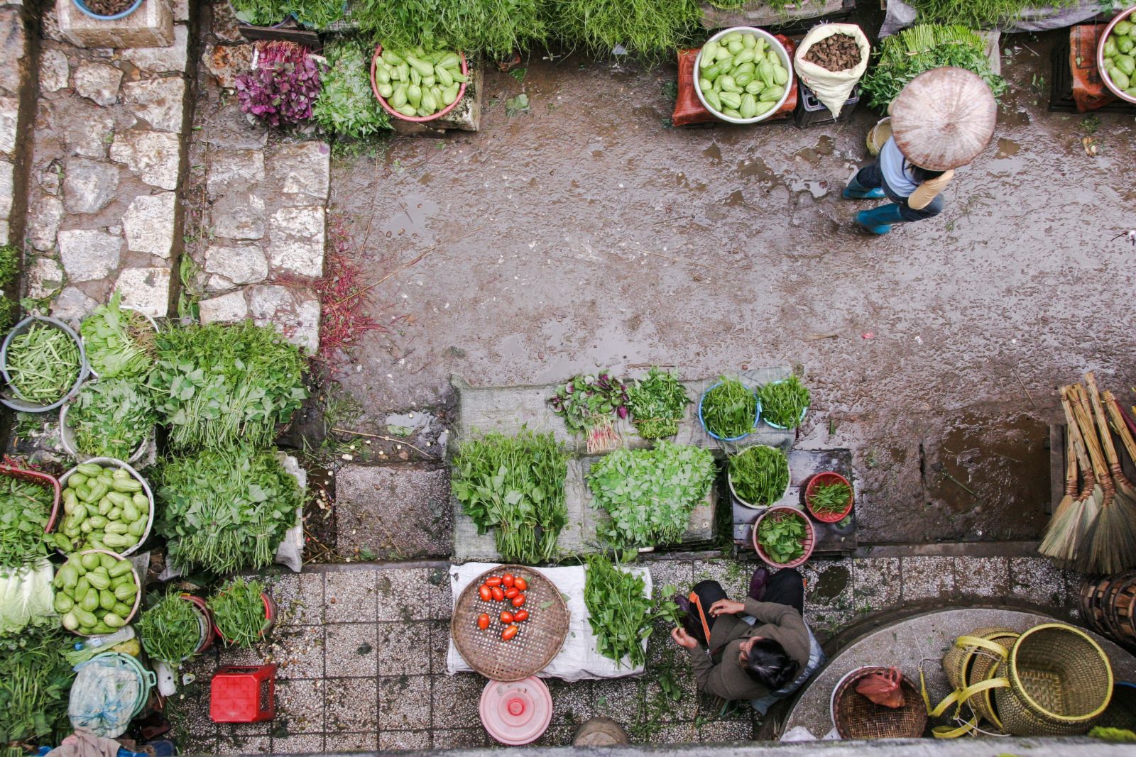 Moestuin overzicht