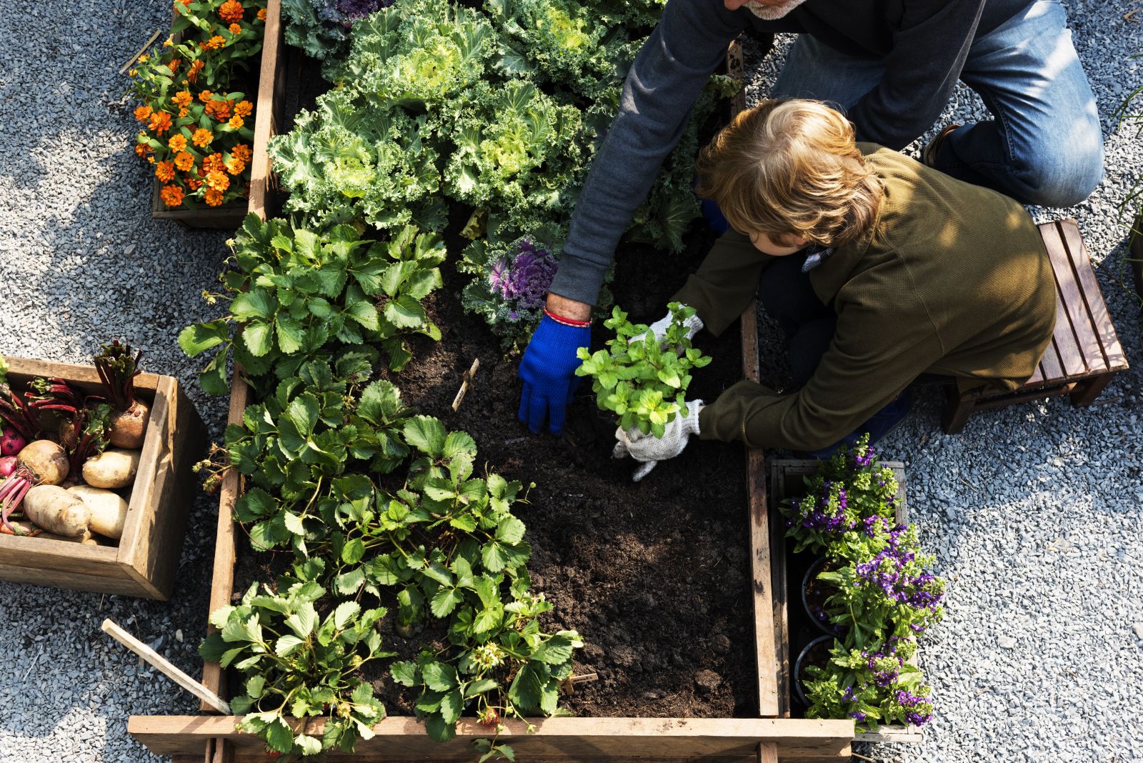 Moestuinbak met kind