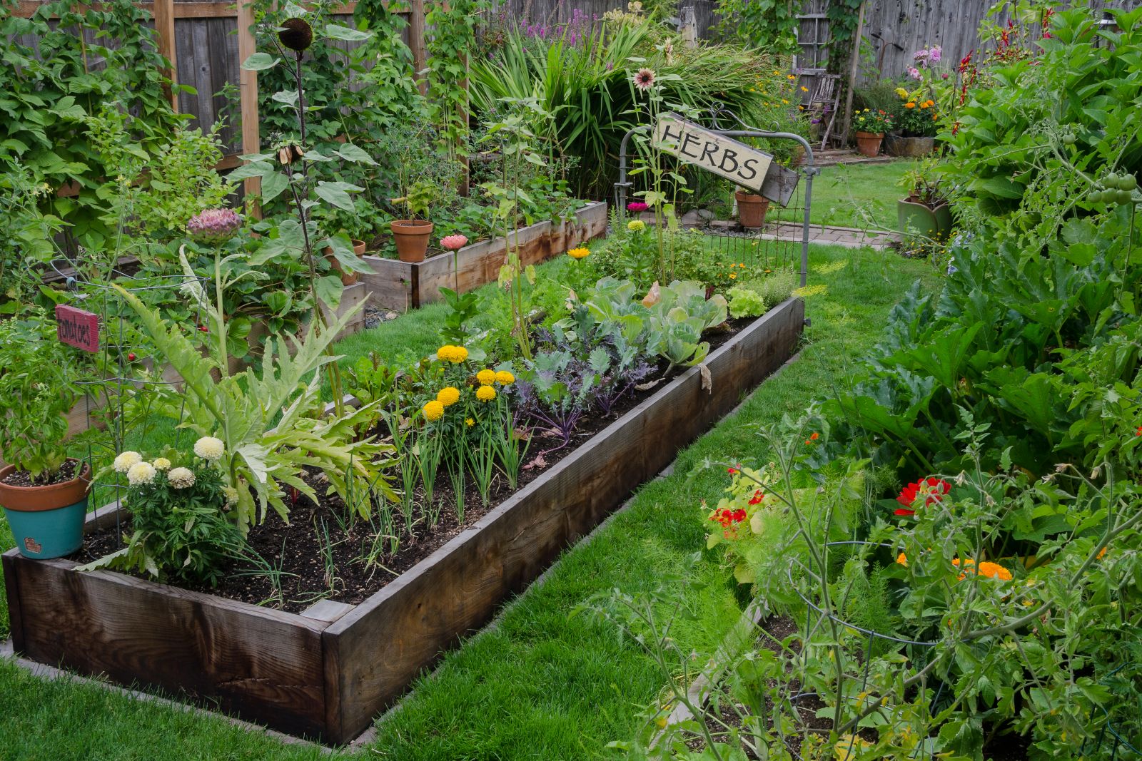 aangenaam Boren inschakelen Een Makkelijke Moestuin | Tips En Informatie