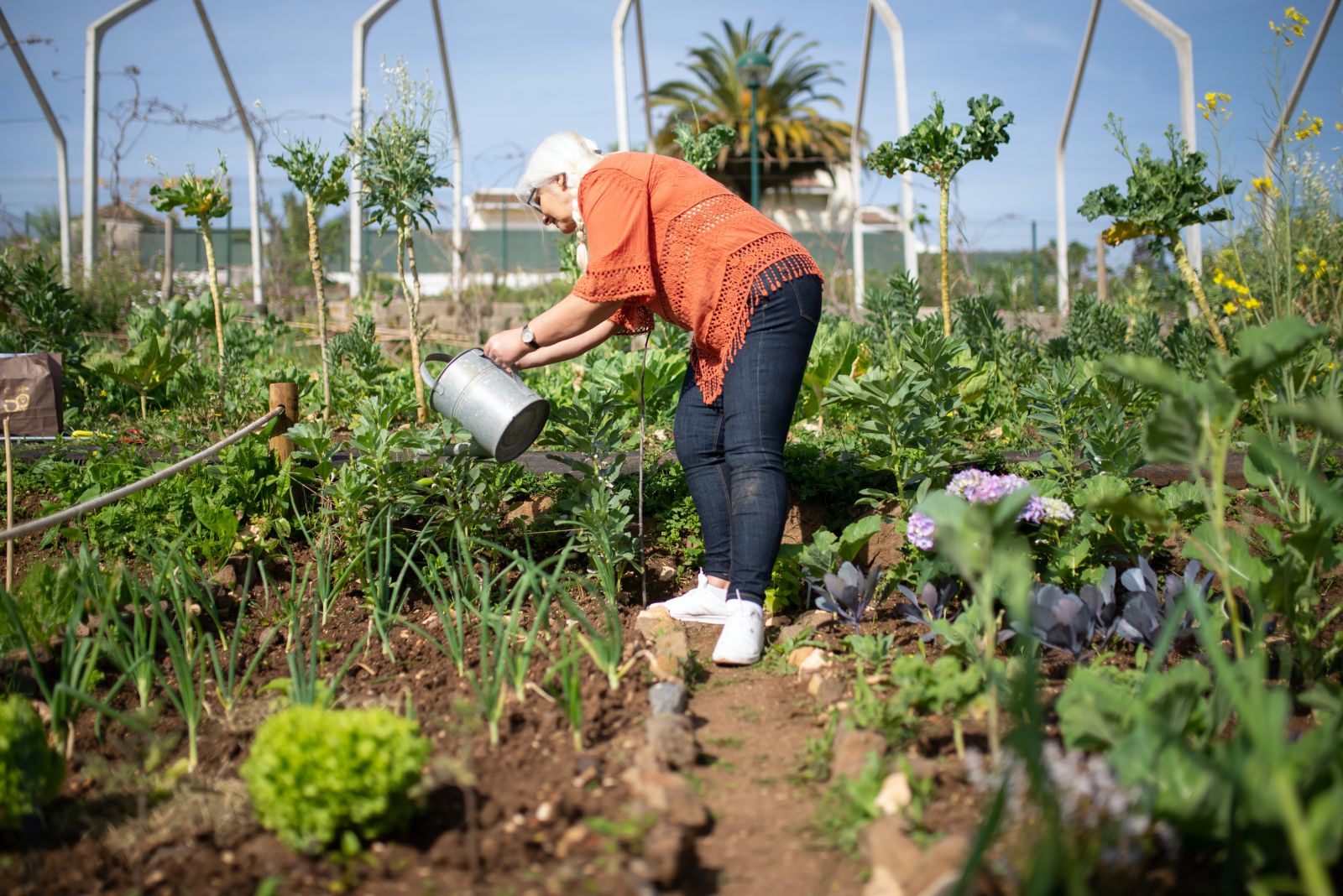 Moestuinieren