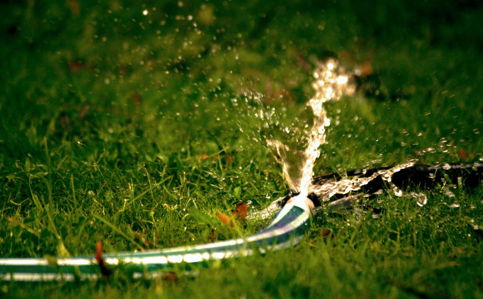 Tuinslag in de tuin op de grond aan het spuiten