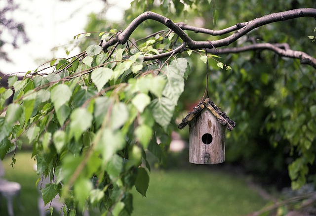 Vogelhuisje - Goodgardn.nl